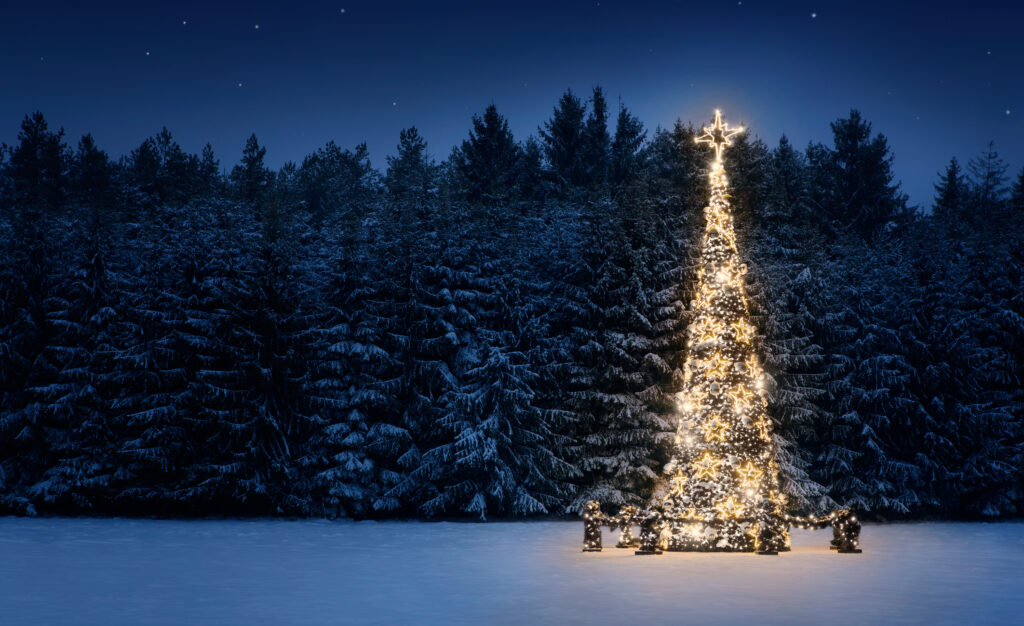 illuminated,christmas,tree,in,the,snow,at,night,with,copy